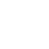 I love camels