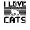 I love cats