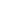 I love lions