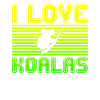 I love koalas