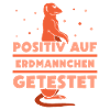 Positiv auf Erdmännchen getestet