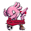 England Fußball
