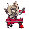 England Football
