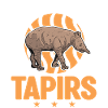 Easily distracted by Tapirs