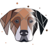 Polygone de chien
