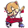 England Football
