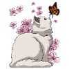 Japanese Cherry Blossom Cat