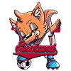 England Football