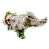 T-Rex auf der Jagd