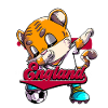 England Fußball