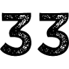 33 number jersey