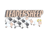 Leadersheep Sheep Wool Sheep
