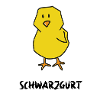 Schwarzgurt