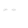 Koin Seggl