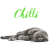 Chilli