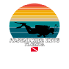 Arsenicker Keys Us Island Plongée