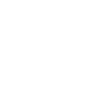 Camel Comic