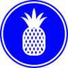pineapple fruit