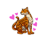 Jaguar Geschenkidee