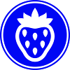 Strawberry Icon Icon