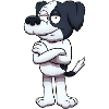 Serious Shih Tzu Dog