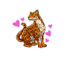 Jaguar Geschenkidee