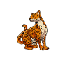 Jaguar Geschenkidee
