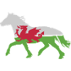 Welsh c Flagge