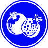 Pomegranate fruit