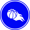 Basketball flame