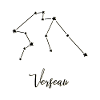 Astro Verseau Constellation