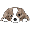 Hund