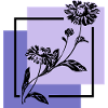 Blume