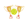 Pickleball Champion Pickleball