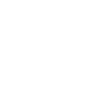 Hausmeister Definition