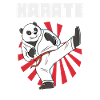 Karate Panda - Karate Japanische Sonne