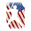 Baseball USA