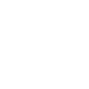Automechaniker Evolution