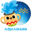 Zodiac sign Aquarius