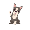 Dogmom
