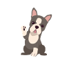 Dogmom