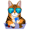 cat plays poker
