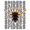 Retro Spider Ejer Tarantula 80's Tekst