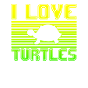 I love turtles