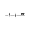 Bear heartbeat