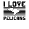 J’adore les pélicans
