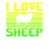 I love sheep