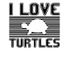 I love turtles