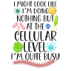 Microbiologist Microbiology Lab Staph Biology