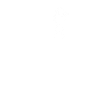 my favourite animal
